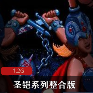 （圣铠）游戏系列合集