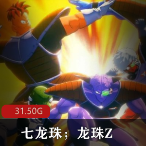 （七龙珠；龙珠Z）汉化版