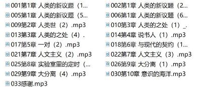（未来简史）有声小说