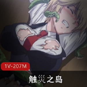 经典游戏（触災之岛）宅男最爱，邂逅你的性感黑丝美腿女神吧！[1V-207M]