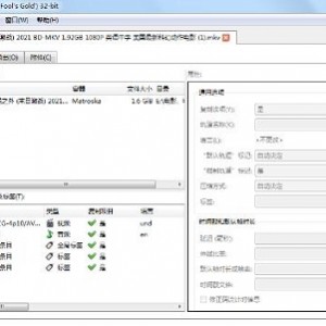 MKVToolNix53.0-实用视频字幕处理工具