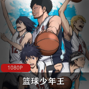 篮球少年王：日本动漫高清全集中字推荐