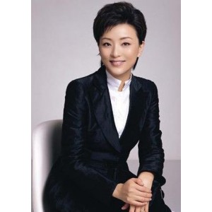 杨澜的30年媒体生涯精华：一问一世界终结版