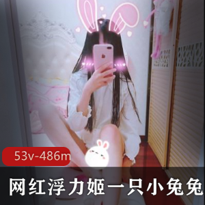 推特抖音FL姬兔兔特典85V486M收藏版
