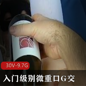 P站MsFine微口味重味G交洋马30部9.7G优质