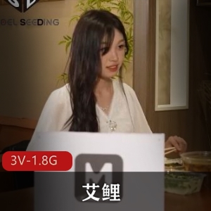 艾鲤自制全收录合集14部1.8G车衣名场面