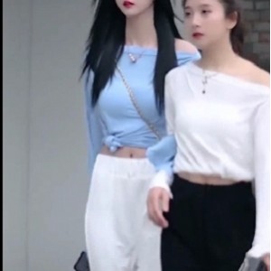 某推超高人气美女（兰兰鹿鹿）线下1对1私拍合集